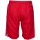 ARENA SHORTS TEAM BERMUDA PANEL RED 004907/400 M image 4