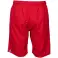 ARENA SHORTS TEAM BERMUDA PANEL КРАСНЫЙ 004907/400 XL изображение 4