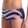 ARENA UJUMISRIIDED MEESTE ARENA MULTI STRIPES SWIM MADAL VÖÖKOHT LÜHIKE TUMESININE MULTI 007238/710 80 D4 foto 2