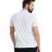 ARENA KOSZULKA TEAM POLOSHIRT SOLID COTTON 004901100 XXL nuotrauka 2
