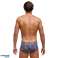 FUNKITA CLASSIC FUNKY TRUNKS TRYCK HANDFLATA FTS001M719970S AUS/UK32 D4 storlek S bild 1
