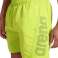 ARENA SZORTY FUNDAMENTALS ARENA LOGO BOXER ARTIC LIME MANGROVE 006444/663 M image 3