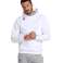 ARENA BLUZA TEAM SWEAT PANEL MIT KAPUZE WEISS 004904/100 XS Bild 1