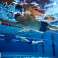 ARENA BADEMODE DAMEN MULTI PANELS V BACK MARINEBLAU COSMO CALYPSO 007914/789 D36 Bild 4