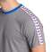 CAMISETA ARENA PARA HOMBRE TEAM OG GRIS OSCURO MELANGE ROYAL MULTICOLOR 007526/581 XS fotografía 2