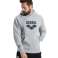 ARENA HOODED SWEATSHIRT LOGO MEDIUM GREY HEATHER 005335/550 XXL image 2