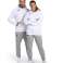 ARENA BLUZA TEAM SWEAT PANEL MIT KAPUZE WEISS 004904/100 XS Bild 4