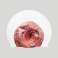 ARENA CAP HD CAP DONUTS 005572/201 image 2