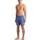 ARENA МУЖСКИЕ ПЛЯЖНЫЕ БОКСЕРСКИЕ ШОРТЫ FUTURE DUSK WATER 009102/882 XL изображение 2