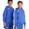 ARENA SWEATSHIRT JR TEAM HOODED SWEAT PANEL ROYAL 004919/800 10 11 140 nuotrauka 1