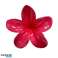 Fermoir pince à cheveux XL fleur rouge ombre 7,5 x 8 cm SP287 photo 1