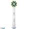 Oral B Vitality 100 Zahnbürste Weiß Precision x8 Abdeckung Bild 3
