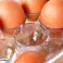 Plastbeholder med lokk for egg bilde 4