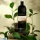 ΑΝΤΑΛΛΑΚΤΙΚΌ ΑΡΩΜΆΤΩΝ GREEN TEA HOME DIFFUSER REFILL 750ML εικόνα 1