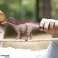 Amargasaurus Dinosaurier KER 15029 Figur Bild 4