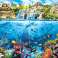 Puzzle 1500 Teile Pirateninsel Korallenriff Bild 1