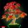 Botaanilised ained 10348 Palm Vahtra bonsai foto 3