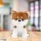 Plüsch kuscheliges Maskottchen kleiner Hund Shiba Inu weiß und braun 20cm Bild 1