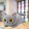 Mascota de peluche gato de peluche gris ojos grandes 45cm fotografía 1