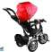 Tricycle PRO500 Red BLACK FRAME image 2