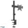Desk Mount for LCD Monitor Maclean. 17 32&quot;. 9kg. VESA 75x75 and 100x100 dual arm. MC 753N image 5