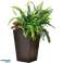 Правоъгълна сеялка MEDIUM RATTAN PLANTER 55 4L уиски кафяво картина 1