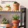 Blomsterstativ, hylde, 3-plan blomsterstativ, 120 x 40 x 95cm, sort SZ47CZ billede 4