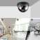 AG78 Dome Camera Dummy image 15