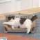 ZW29 Krabpaal voor katten bank APT ZW29 foto 14