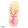 IQ INTELLIGENCE QUALITY Damen Laufschuhe ROSERO WMNS ROSERO WMNS M000273210 38 Bild 1
