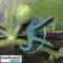 Clipes clipes para plantas 108 pcs. Gardlov 22586 foto 2