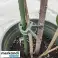 Clipes clipes para plantas 108 pcs. Gardlov 22586 foto 5