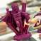 Spiel marvel united x men pl KER 02075 Bild 2