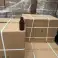 120 ml PET Bernsteinflasche für den schnellen Verkauf 60.000 Stück hergestellt in China Bild 6