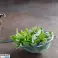 STALEN KEUKENZEEF MET ZEEFSTEEL KLEIN 8 CM foto 3