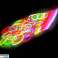 AG164 Lightstick 100pcs 8 hours image 36