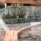 50 PALLETS OF HOUSEHOLD STOCK – CERAMICS &amp; HIGH QUALITY GLASS! Plates - Glasses - Cups - Cups - Vases - and much more image 1