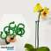 Plant support (20 pieces) ROOTZI image 4