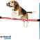 Hindernispfosten-Set für Hunde Haustierspielzeug 85x3cm 510gr Bild 2