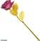 AG774C Goldene Rose Geschenk lila Bild 3