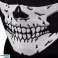 BQ34 Κρανίο Bandana Snood APT BQ34 εικόνα 63