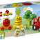 LEGO® Sets DUPLO My First Fruit and Vegetable Tractor P4 10982 image 3