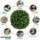 Куля штучна рослинна TOPIORB Green Small (18 см) зображення 4