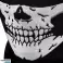 BQ34 Κρανίο Bandana Snood APT BQ34 εικόνα 77