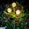 LEC ZAR0580 Decorado Rebel Ornamental Garlic Solar Garden Lights fotografía 5