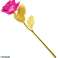 AG774B Goldene Rose Geschenk Rosa Bild 14