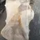 Auktion: Wurzeltisch (Abm L/B/H: ca. 185 x 110 x 85 cm) Bild 6