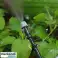 Waterly - Système d’arrosage de jardin photo 5