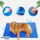 SOĞUTMA MAT KÖPEK KEDI YATAĞI İÇIN SUYA DAYANIKLI BÜYÜK JEL 80x60cm XL fotoğraf 1