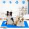 SOĞUTMA MAT KÖPEK KEDI YATAĞI İÇIN SUYA DAYANIKLI BÜYÜK JEL 80x60cm XL fotoğraf 4